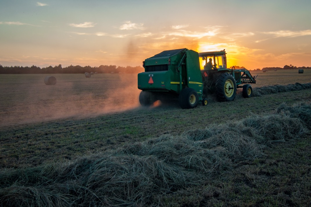 Tractor tending the field
